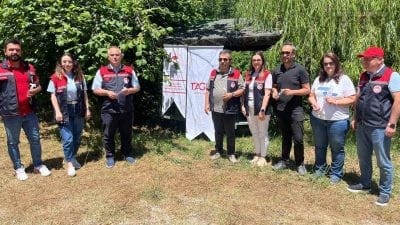Karabük'te tarım alanlarına zarar veren kahverengi kokarca ile mücadele kapsamında