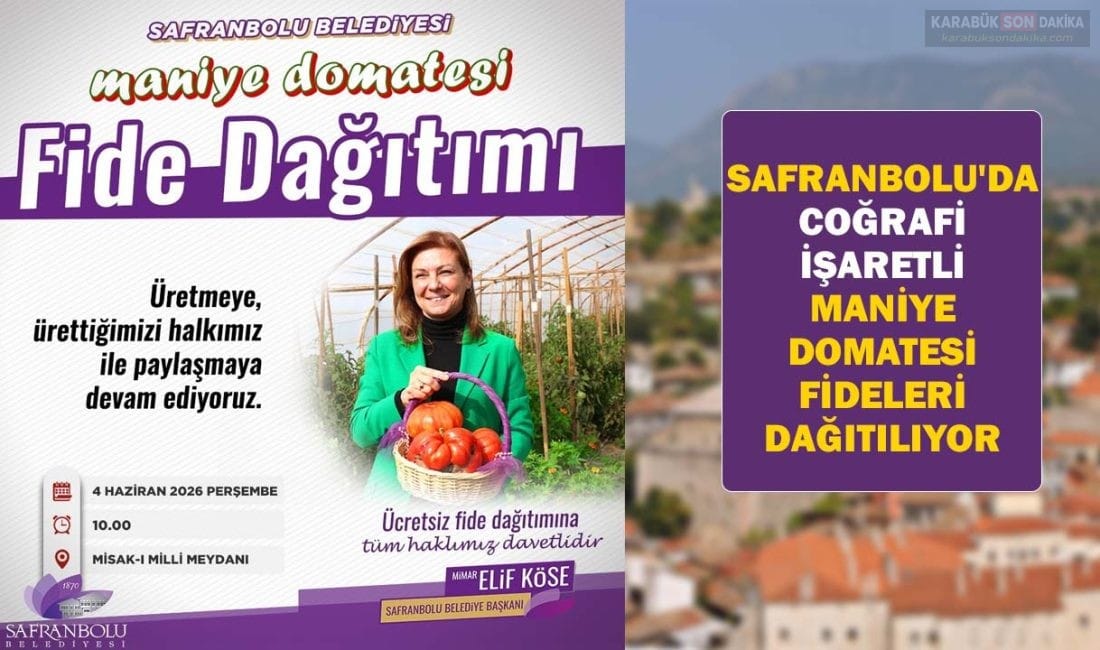 Safranbolu Belediyesi, yerel tarımı desteklemek amacıyla tescilli maniye domatesi fidelerini