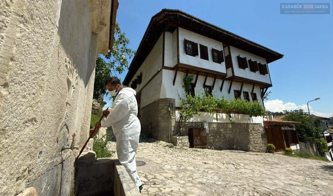 Safranbolu'da 5 Haziran Dünya Çevre Günü ve uluslararası festival öncesinde