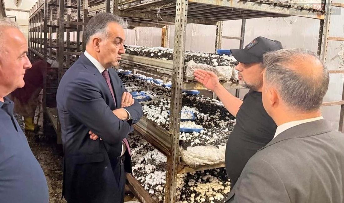 Karabük Valisi Oktay Çağatay, Safkar Mantar Üretim Tesisi'ni ziyaret ederek