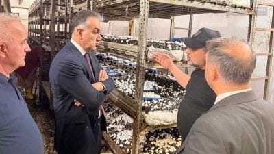 Karabük Valisi Oktay Çağatay, Safkar Mantar Üretim Tesisi'ni ziyaret ederek
