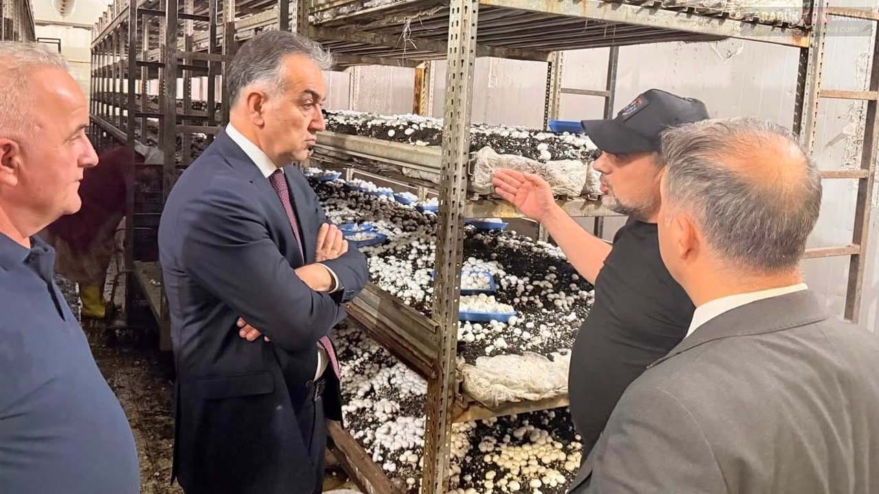 Karabük Valisi Oktay Çağatay, Safkar Mantar Üretim Tesisi'ni ziyaret ederek