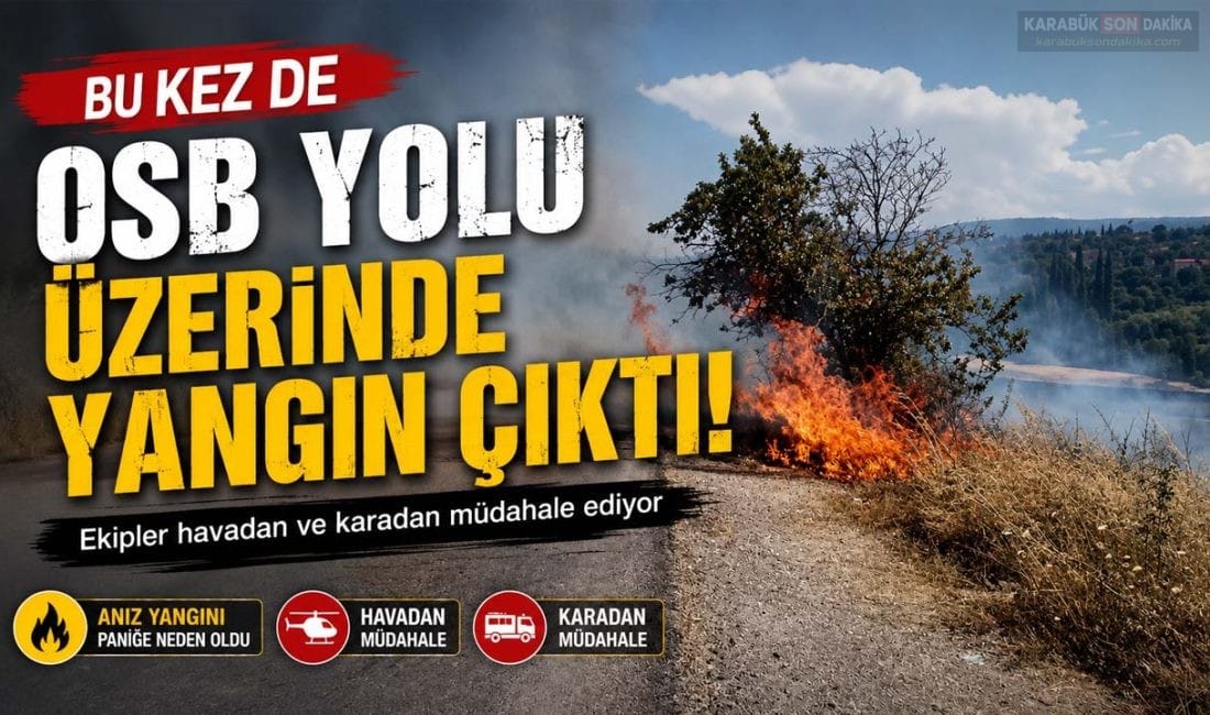 Karabük'te Keltepe yangınının ardından bu kez Belen TOKİ-OSB yolu üzerinde
