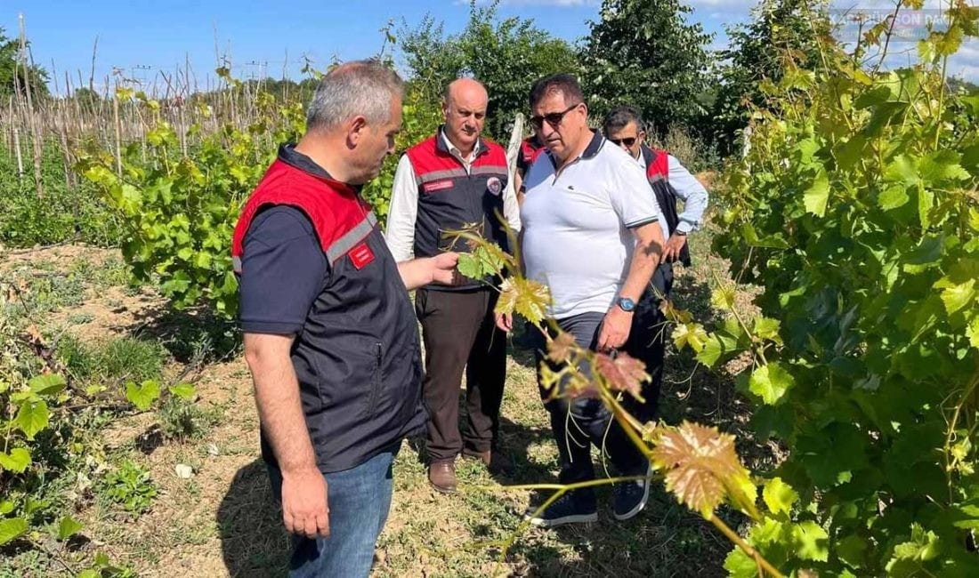 SAFRANBOLU’DA TARIM SAHADA KONUŞULDU! ÜRETİCİLERLE BİREBİR GÖRÜŞME Karabük İl Tarım ve Orman Müdürlüğü ekipleri, Safranbolu'nun Yukarı Çiftlik