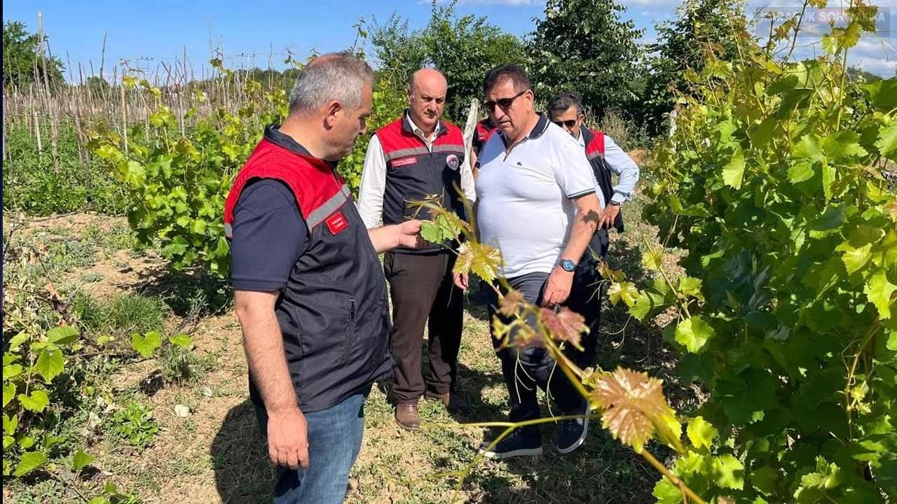 SAFRANBOLU'DA TARIM SAHADA KONUŞULDU! ÜRETİCİLERLE BİREBİR GÖRÜŞME 1 SAFRANBOLU'DA TARIM SAHADA KONUŞULDU! ÜRETİCİLERLE BİREBİR GÖRÜŞME